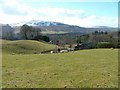 Grazing land at Fenderbridge