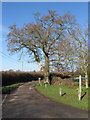 Bridleway to White Bridge