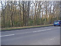 A30 verge, Wentworth