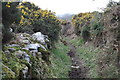 Bridle path north west of the reservoir