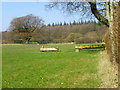 Horse jumps near Grange Farm