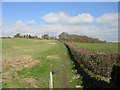 Footpath - Troydale Lane