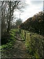 Footpath - Troydale Lane