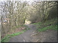 Footpath - Troydale Lane