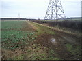 TF1104 : View under pylons towards Rice Wood by Marathon