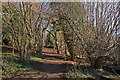 Footpath up Reigate Hill