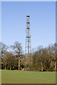 Mast on Reigate Hill