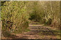 Footpath to Wytch Farm