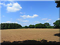 Farmland, Fyfield