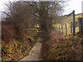 Looking up the "Stey Brae"