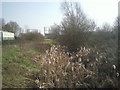 Overgrown drainage ditch at Veridion Park, Thamesmead