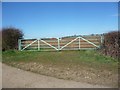 Blue metal field gates