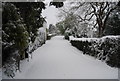 Snow, Manor Fields