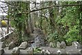 The view upstream from Fremington Bridge