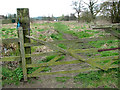 Gate on footpath along the River Yare, Postwick