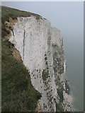 TR3442 : White Cliffs near Langdon Hole by David Anstiss