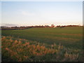 View towards South Cliff Farm and Kirton army base