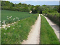 SU4977 : Track and farmland, East Ilsley by Andrew Smith