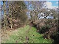 Footpath To Wheaton Aston