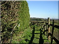 Footpath - Holme Lane