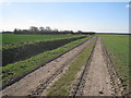 Farm track in Boothby Graffoe Low Fields