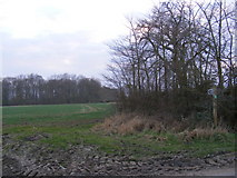 TM3663 : Footpath to Dodd's Wood via Crane's Wood by Geographer