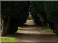 The four-foot gravelled pathway