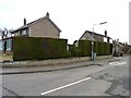 Neatly trimmed hedge