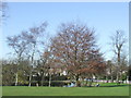 Chislehurst Common and Pond