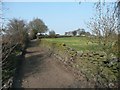 Track to Dawson Wood, Thackley