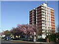 Flats on Grove Park Road