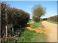 Public footpath to Wramplingham