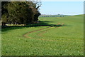 Fields at Merdon Manor Farm