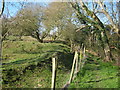 Footpath from Northiam Road