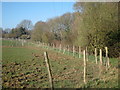 Fields at Broad Oak