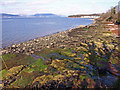 Shoreline, Inverkip Bay