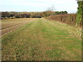 TF7035 : Green belt on Sedgeford Road, Norfolk by Richard Humphrey