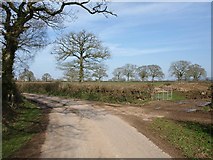 ST0304 : Lane junction near Chaldon Farm by Derek Harper