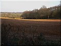 SU9246 : Field and woodland by Suffield Lane by Shazz