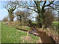 Stream junction near Old Bridge