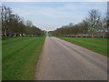 Looking North on the Long walk