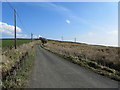 Forest of Poles off Tom Lane