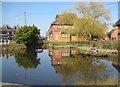 Lane End: The Village Pond