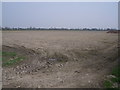 Farmland near Wood End Farm