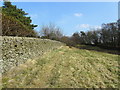 Footpath leading towards Kelbrook Wood