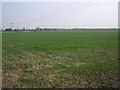 Farmland, North Howden