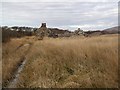 Ruined steading beside Glenegedale River