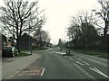 Mini-roundabout at the junction of Golden Hill  Lane and Tomlinson Road