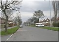 Ravenscliffe Avenue - viewed from Falkland Road