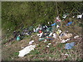 Fagley Beck (+rubbish!) - end of Ravenscliffe Avenue